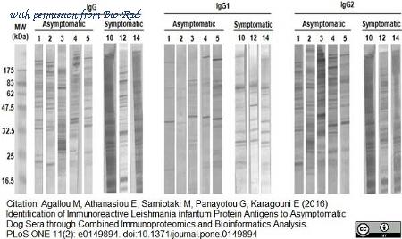 Bio-Rad AHP948 image 1