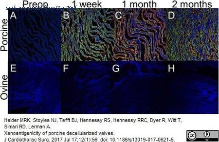 Bio-Rad AHP950F image 1