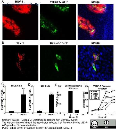 Bio-Rad AHP975 image 1