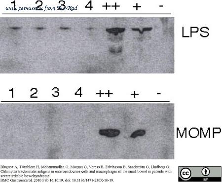 Bio-Rad 1990-2809 image 1