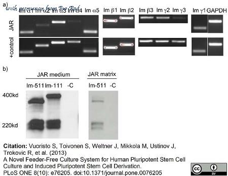 Bio-Rad 5620-0436 image 1