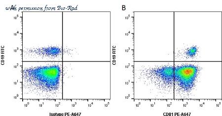 Bio-Rad MCA1847 image 1