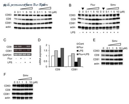 Bio-Rad MCA1846 image 1