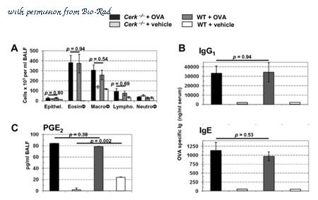 Bio-Rad MCA419B image 1