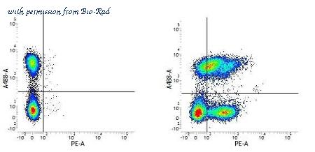 Bio-Rad MCA699GA image 1