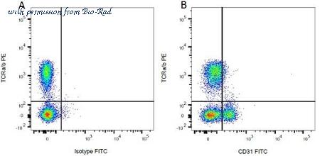 Bio-Rad MCA1334B image 1