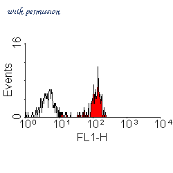 Bio-Rad MCA1105G image 1