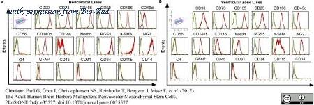 Bio-Rad MCA2141 image 1