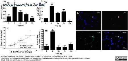 Bio-Rad MCA822 image 1