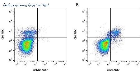 Bio-Rad MCA1652G image 1