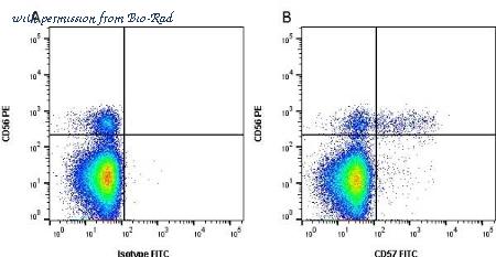 Bio-Rad MCA1305GA image 1