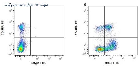 Bio-Rad MCA51GA image 1