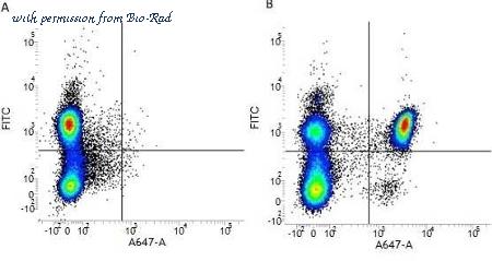 Bio-Rad MCA1267 image 1
