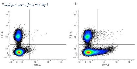 Bio-Rad MCA884GA image 1
