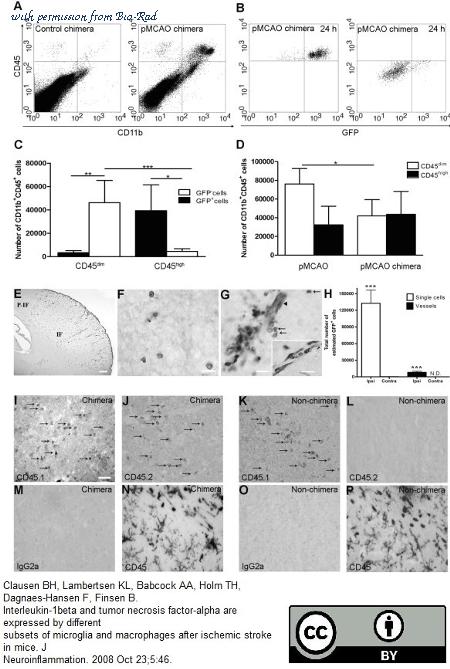 Bio-Rad MCA1388 image 1