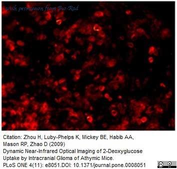 Bio-Rad MCA2076 image 1