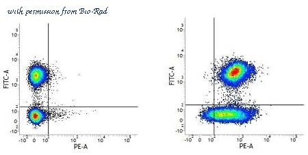 Bio-Rad MCA1054 image 1