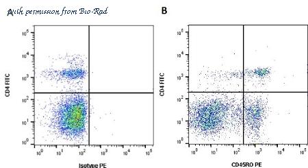Bio-Rad MCA2434PE image 1