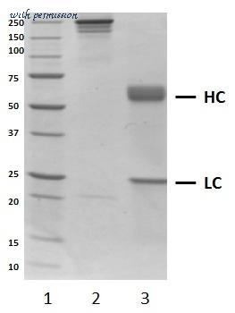 Bio-Rad HCA189 image 1