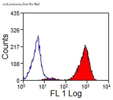 Bio-Rad MCA897GA image 1