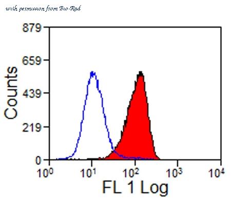 Bio-Rad MCA919GA image 1