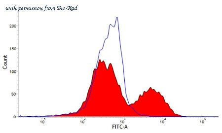 Bio-Rad MCA1221GA image 1