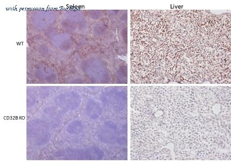 Bio-Rad MCA6001 image 1