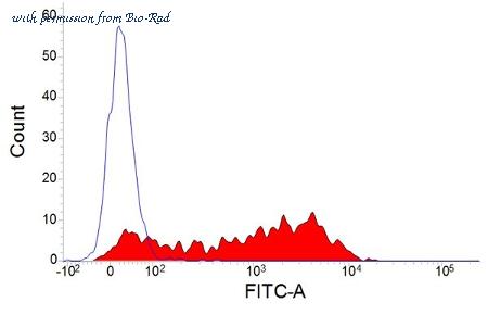 Bio-Rad MCA2218GA image 1