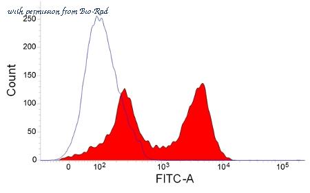 Bio-Rad MCA564GA image 1