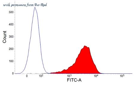 Bio-Rad MCA1096GA image 1