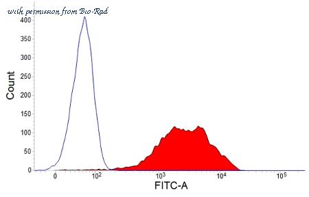 Bio-Rad MCA560GA image 1