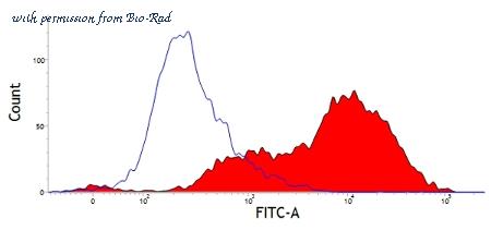 Bio-Rad MCA5974F image 1