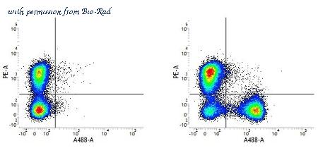 Bio-Rad MCA2356A488 image 1