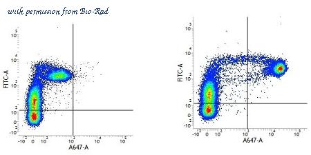 Bio-Rad MCA929PB image 1