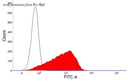 Bio-Rad MCA810GA image 1