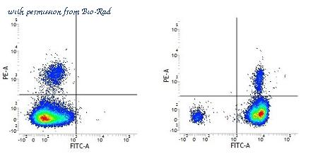 Bio-Rad MCA6006PE image 1