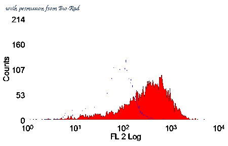 Bio-Rad STAR73 image 1