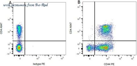 Bio-Rad MCA643FA image 1