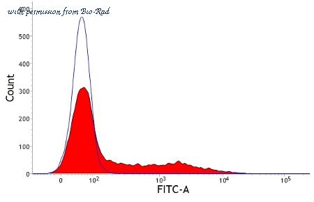 Bio-Rad MCA1335GA image 1