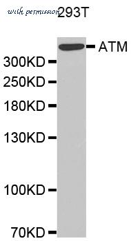 Bio-Rad AHP2441 image 1