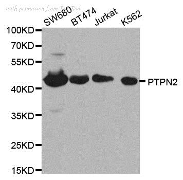 Bio-Rad AHP2517 image 1