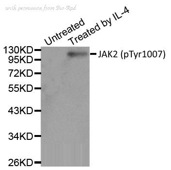 Bio-Rad AHP2639 image 1
