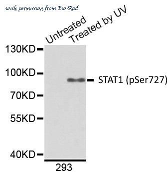 Bio-Rad AHP2682 image 1