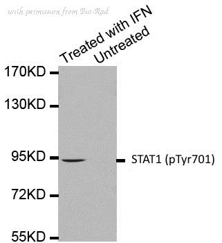Bio-Rad AHP2683 image 1
