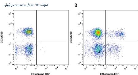 Bio-Rad BUF077A image 1
