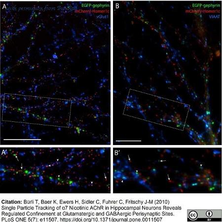 Bio-Rad C07SA image 1