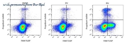 Bio-Rad APO006 image 1