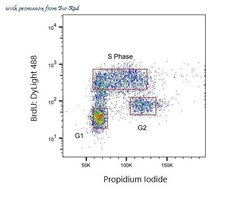 Bio-Rad HCA320 image 1