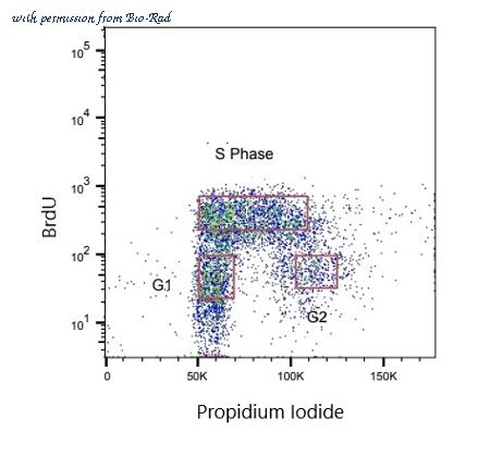 Bio-Rad HCA322 image 1