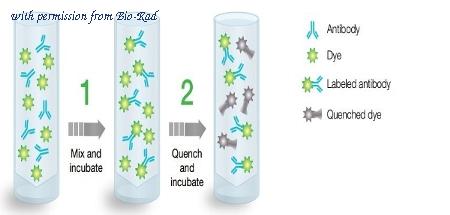 Bio-Rad 1351004 image 1